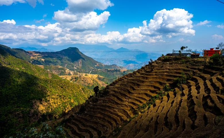 Terrace farming in Nepal