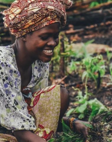 Shaping an Organic Future in Ghana