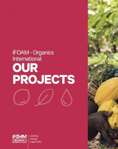 Brochure: Our Projects