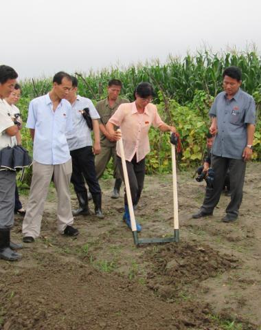 Resilience Through Better Institutions