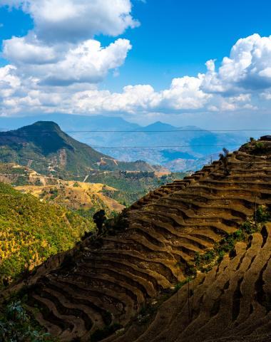 Terrace farming in Nepal