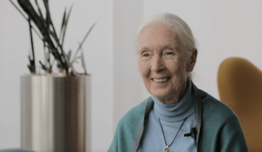 Jane Goodall