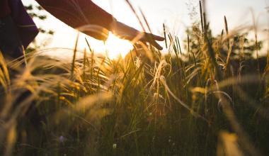 A hand touching grass