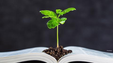 A plant and soil on top of an open book