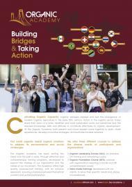 Building Bridges & Taking Action